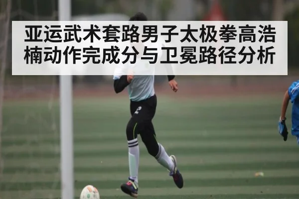 亚运武术套路男子太极拳高浩楠动作完成分与卫冕路径分析