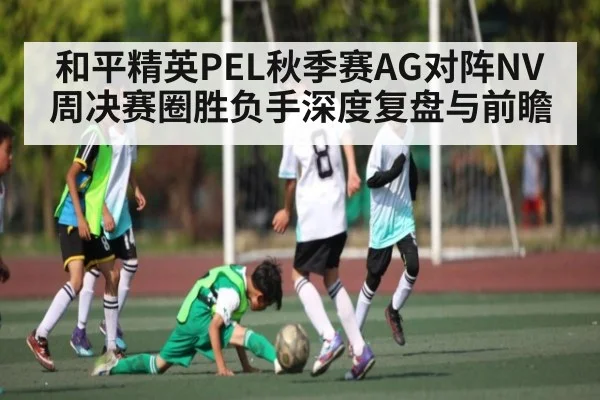 和平精英PEL秋季赛AG对阵NV周决赛圈胜负手深度复盘与前瞻